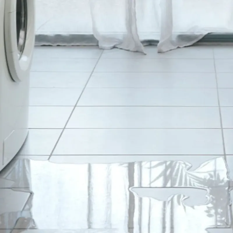 Appliance Leak Cleanup in Lake Hallie, WI