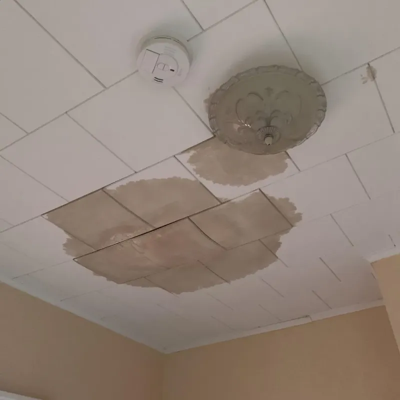 Ceiling Water Damage Repair in Lake Hallie, WI
