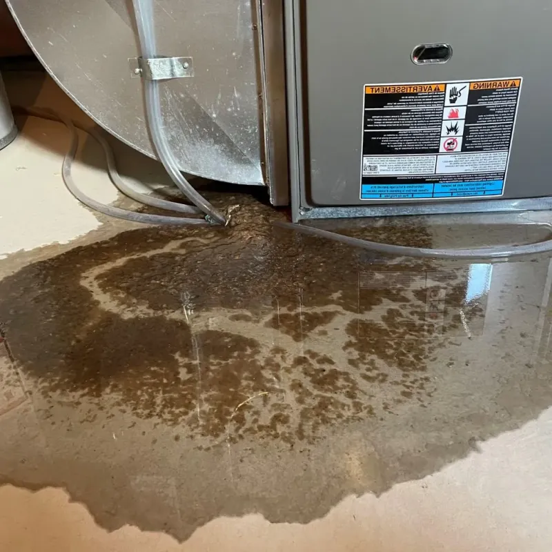 Pipe Burst and Leak Restoration in Lake Hallie, WI